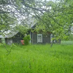 Продам дом в деревне с участком 25 соток260 км от Минска  (Витебская о