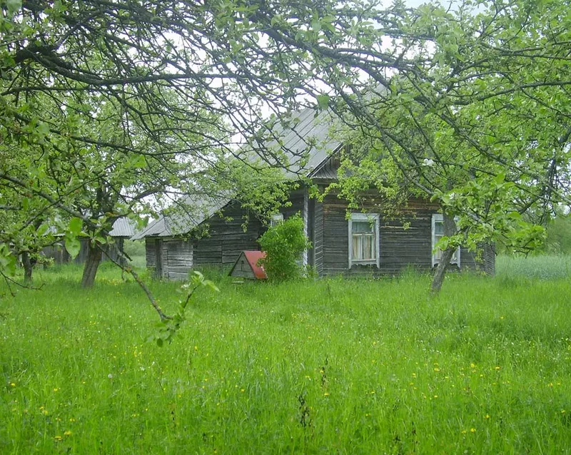 Продам дом в деревне с участком 25 соток260 км от Минска  (Витебская о