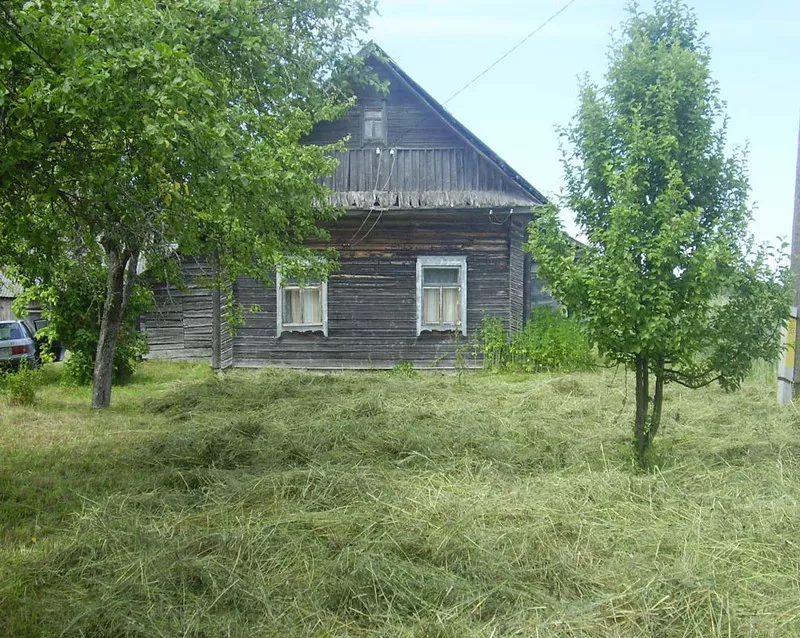 Продам дом в деревне с участком 25 соток260 км от Минска  (Витебская о 2